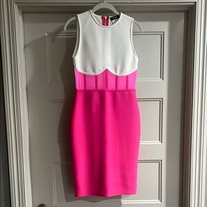 Size large bodycon Pink and White Women's Dress